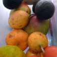 We have an interesting neighbor. He won the Costa Rican lottery and bought the house across the street from us. I don't know what he did for a living before he won the lottery, but now he is in the fruit business. He goes to the big farmer's market everyday and loads up on yummy fruits and avocados...
