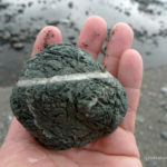 Rock, Pavones, Costa Rica Rock, Pavones, Costa Rica