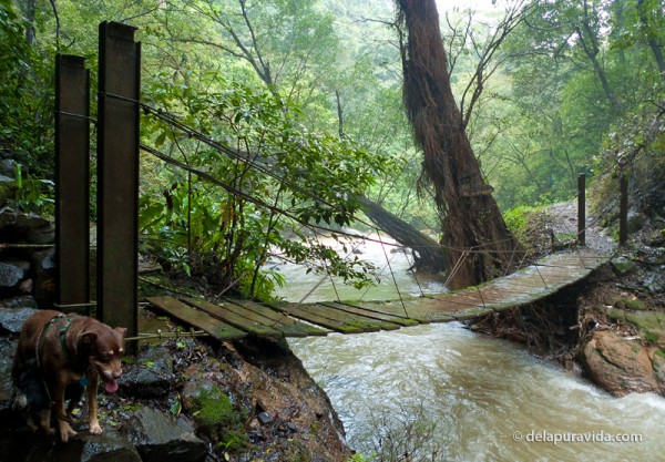 Rope Bridge at Los Chorros Rope Bridge at Los Chorros, Costa Rica