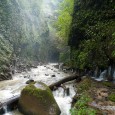 Julio took me to a secret waterfall park for an afternoon hike the other day, it is off the tourism radar and is only frequented by locals.