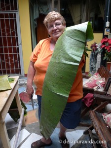 plantain leaf