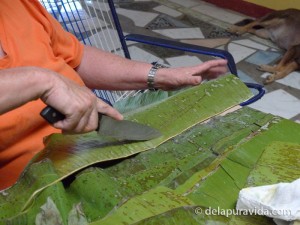 cutting plantains