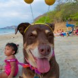 Mocha has a photoshoot on the beach, with babies. 