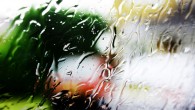 Happy Mother’s Day, 4 More Earthquakes, and Hello Rain! Mother Nature says Happy Mother's Day with four earthquakes and a torrential downpour. Plus the skinny on Costa Rica's secret break from the rainy season.