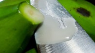 Guineos are an important ingredient in a lot of delicious Costa Rican sauces, but what are they and how do you prepare them?