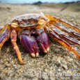 7 Super Shots 7 awesome photos chosen for the Hostelbookers 7 super shots meme