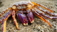 7 awesome photos chosen for the Hostelbookers 7 super shots meme