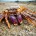 7 awesome photos chosen for the 7 super shots meme