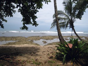 de la pura vida Costa Rica blog photo
