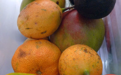Fruit