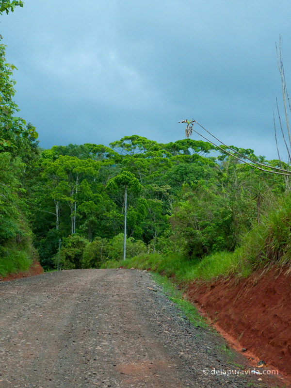 Rich red earth, vibrant green plants, dark blue skies