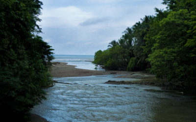 Weekend in Montezuma, Nicoya Peninsula
