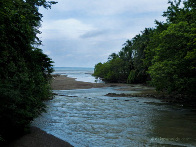 River meets ocean