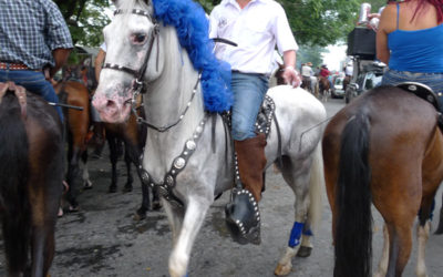 Guanacaste por Las Fiestas