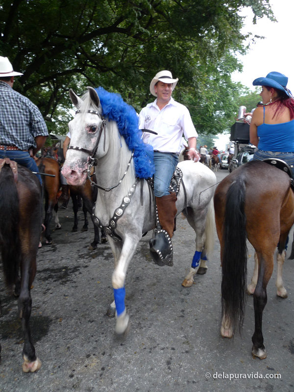 Horse Parade, Liberia, Guanacaste 2010