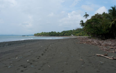 Pavones, Impressive in the Rainy Season, too