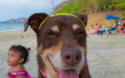 Photo: Mocha, escaping paparazzi