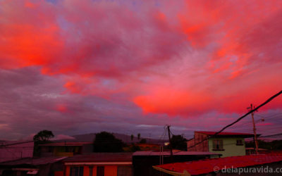 Photo: The OMFG Sunset