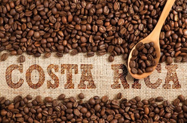 Whole Costa Rican coffee beans being scooped up to reveal the name Costa Rica on burlap. Image made by Erin Morris.