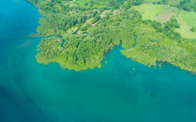 Entering and Exiting Costa Rica