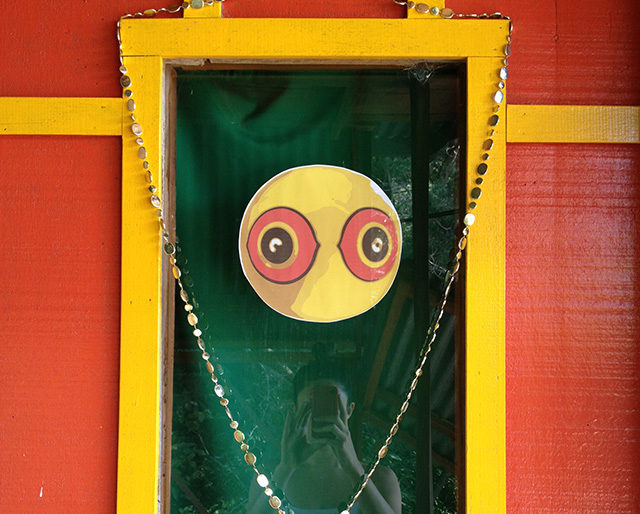 birds pecking at door costa rica