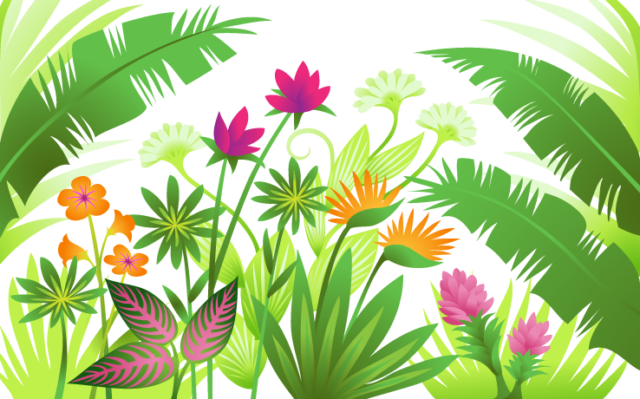 costa rica plants