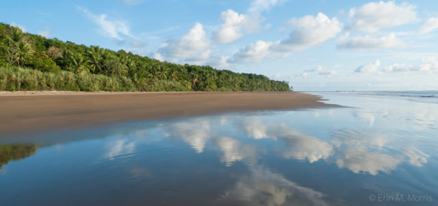 The beach at Playa Uvita Bahia Ballena