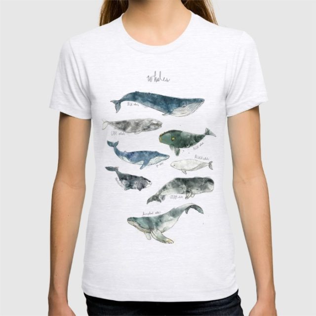 Animal chart featuring 8 types of whales: Humpback, Gray, Blue, Right, Bowhead, Fin, Beluga, and Sperm whale.
